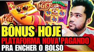 bettio bauru imagem de tela 1